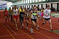 IMG_8042-u.JPG IMG_8042-u.JPG