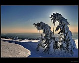 Thumbnail of V_Krkonosich.jpg