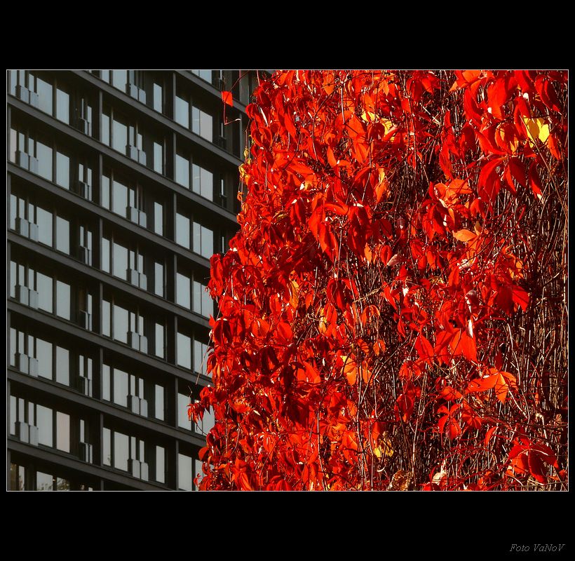 Hotel-Thermal.jpg