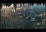 Thumbnail of Odraz.jpg